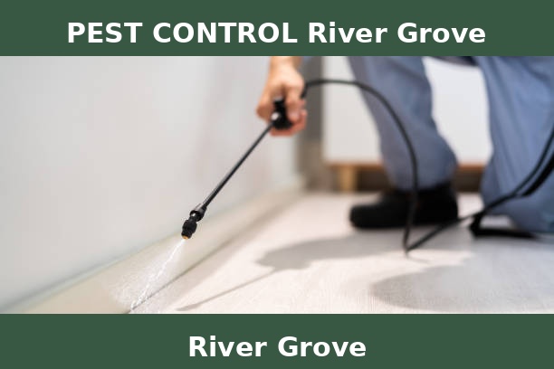 PEST CONTROL River Grove